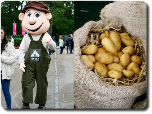 Sam's potatoes