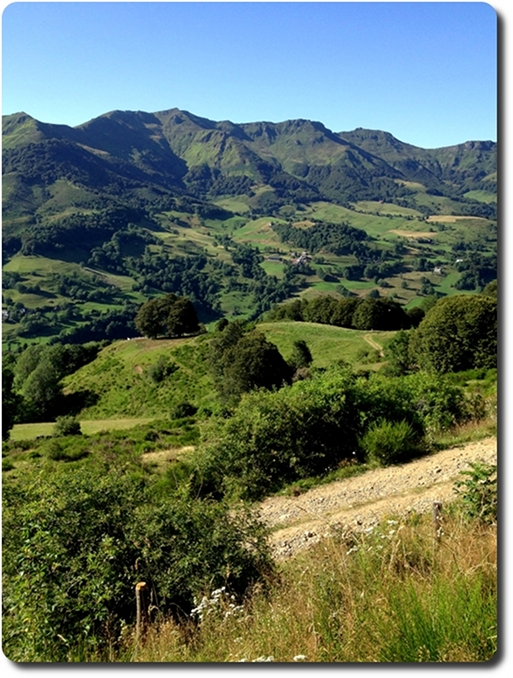 Cantal: le pays vert